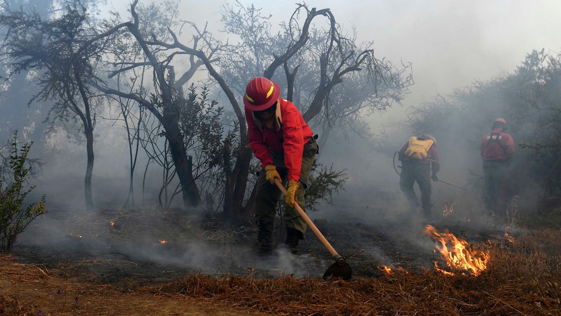 Declaran Alerta Roja en Valparaíso por incendio forestal: Fuego está a pocos metros de viviendas