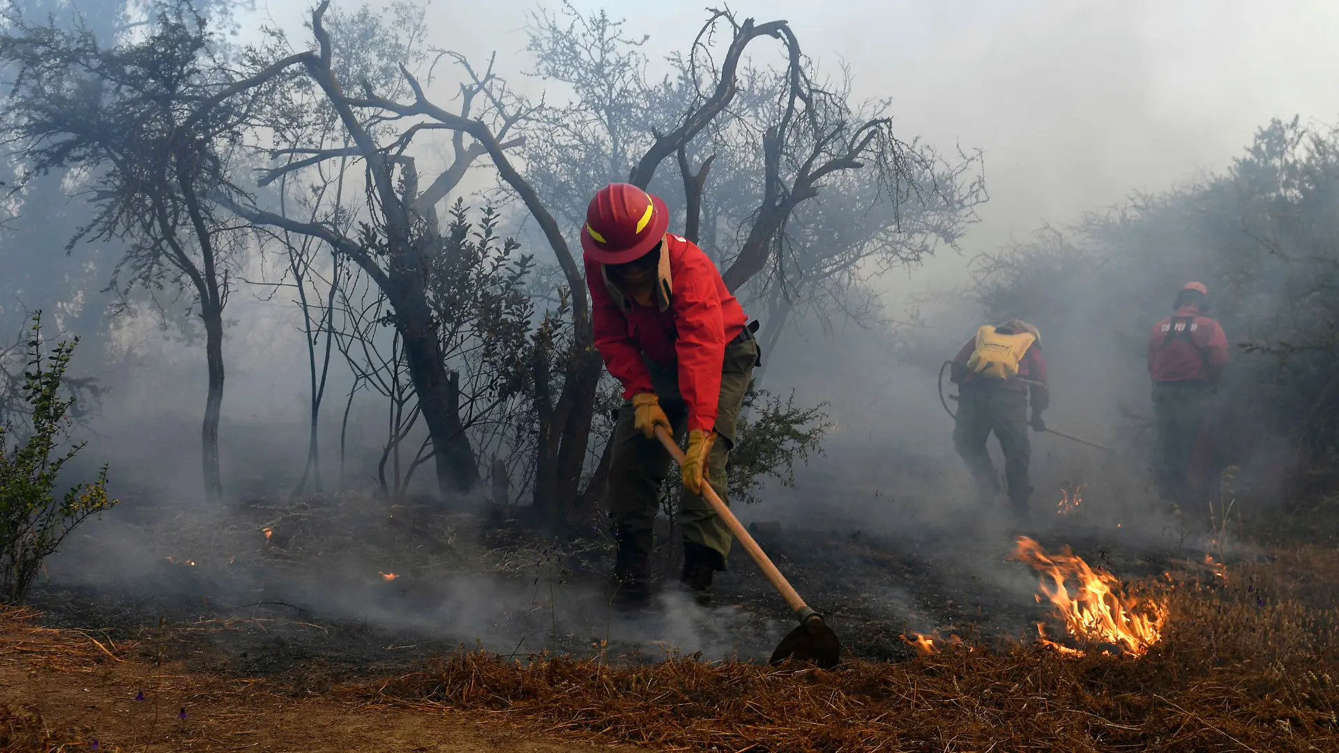 Declaran Alerta Roja en Valparaíso por incendio forestal: Fuego está a pocos metros de viviendas