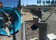 Vándalos destruyeron la Plaza para Mascotas en San Pedro de la Paz: Municipalidad dice que el proyecto “seguirá adelante”
