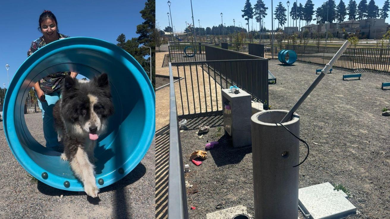 Vándalos destruyeron la Plaza para Mascotas en San Pedro de la Paz: Municipalidad dice que el proyecto “seguirá adelante”