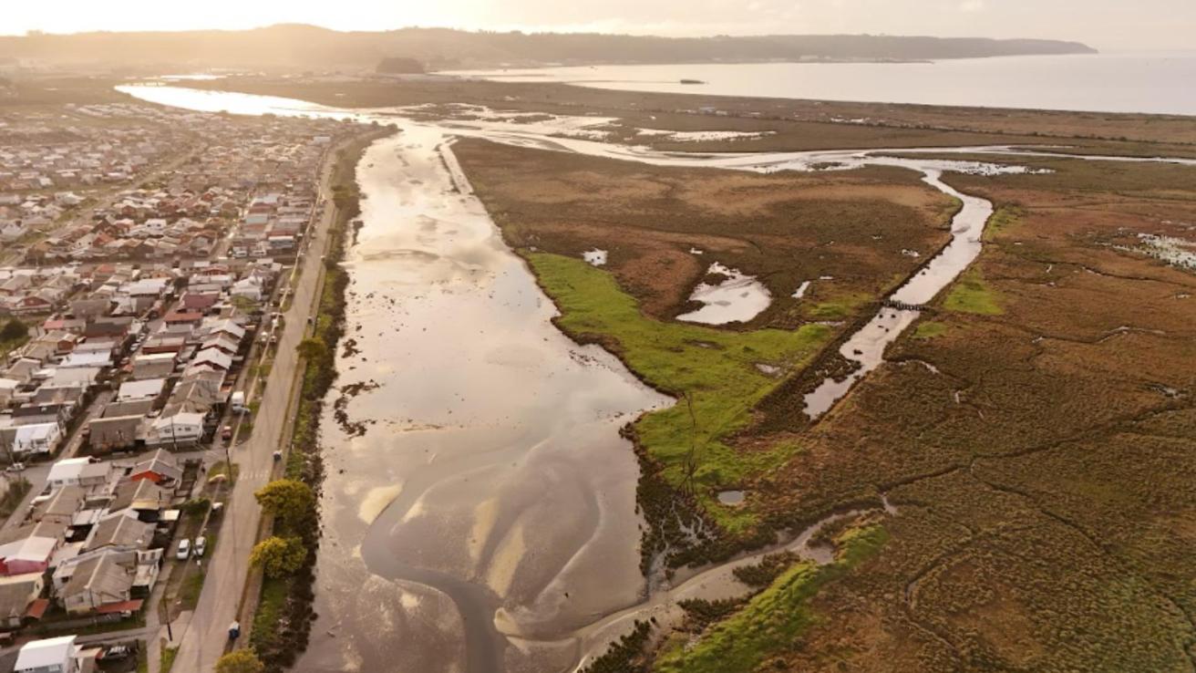 Declaratoria del humedal Rocuant-Andalién “no frena proyectos” aseguran MOP y Talcahuano tras críticas de gremios