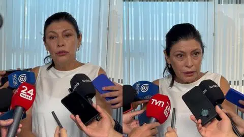 “No me sorprende”: Directora del Serviu Biobío presenta renuncia luego que ministro Poduje solicitara su salida por atrasos en reconstrucción