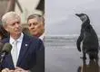 Gobierno de Kast retiró 43 decretos ambientales presentados por administración de Boric: Se incluye protección del pingüino de Humboldt y creación de parques
