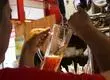 Universidad lanzó diplomado en ciencia cervecera en Chile: Revisa la duración, formato y proyección del programa