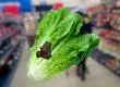 Sapo apareció en lechuga recién comprada en reconocido supermercado: “Ahora tienes ensalada y mascota”