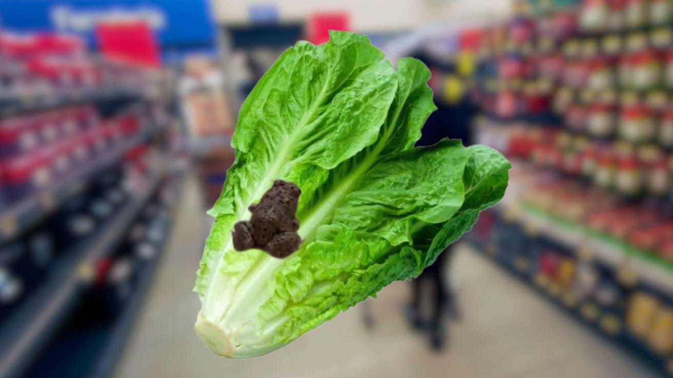 Sapo apareció en lechuga recién comprada en reconocido supermercado: “Ahora tienes ensalada y mascota”