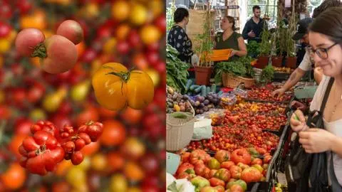 El Festival del Tomate celebra al rey del verano con premios para los ejemplares más grandes
