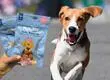 Hasta los perros pueden celebrar la pascua con huevitos especiales: Están en dos supermercados