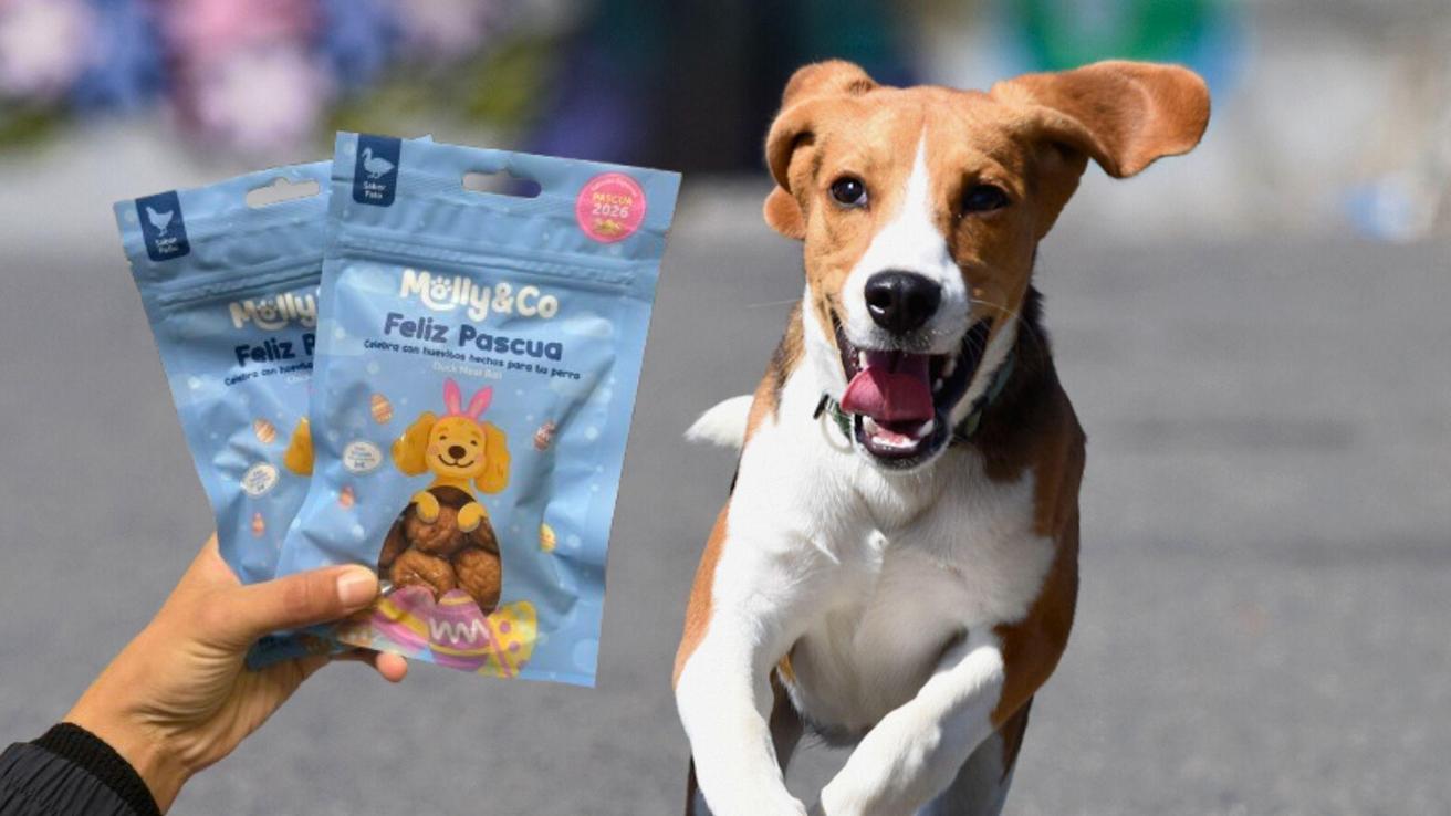 Hasta los perros pueden celebrar la pascua con huevitos especiales: Están en dos supermercados