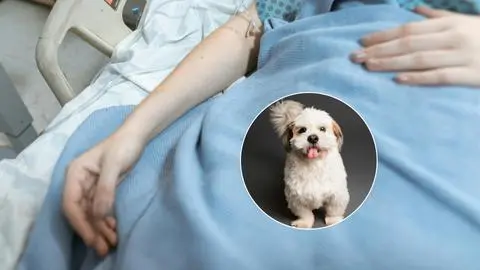 Hospitales públicos comienzan a permitir visitas de mascotas a pacientes bajo nuevos protocolos