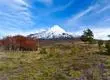 Continúa la búsqueda de dos hombres extraviados en el Parque Nacional Villarrica