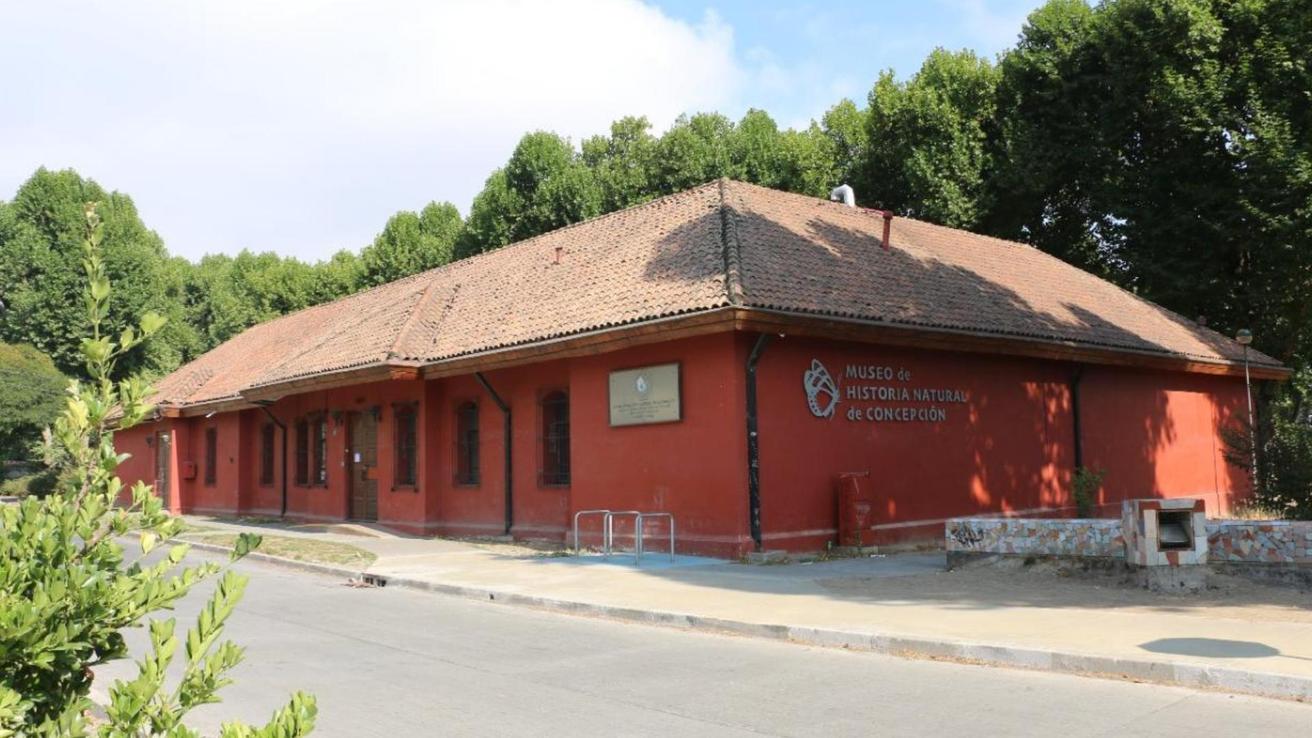 Museo de Historia Natural de Concepción se despide: cierra hasta fin de año por mejoras a su infraestructura