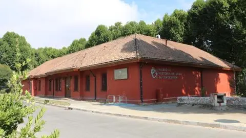 Museo de Historia Natural de Concepción se despide: cierra hasta fin de año por mejoras a su infraestructura