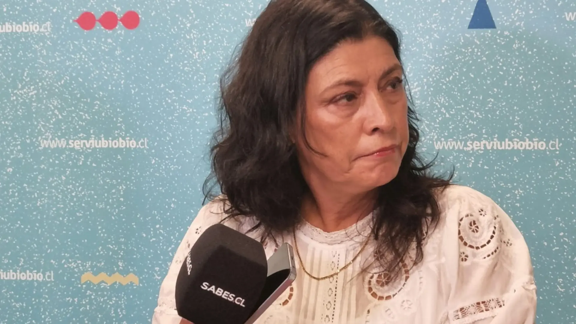 Directora del Serviu Biobío anunció sumario administrativo y solicitó la renuncia de funcionario que mantenía cuenta troll en redes sociales