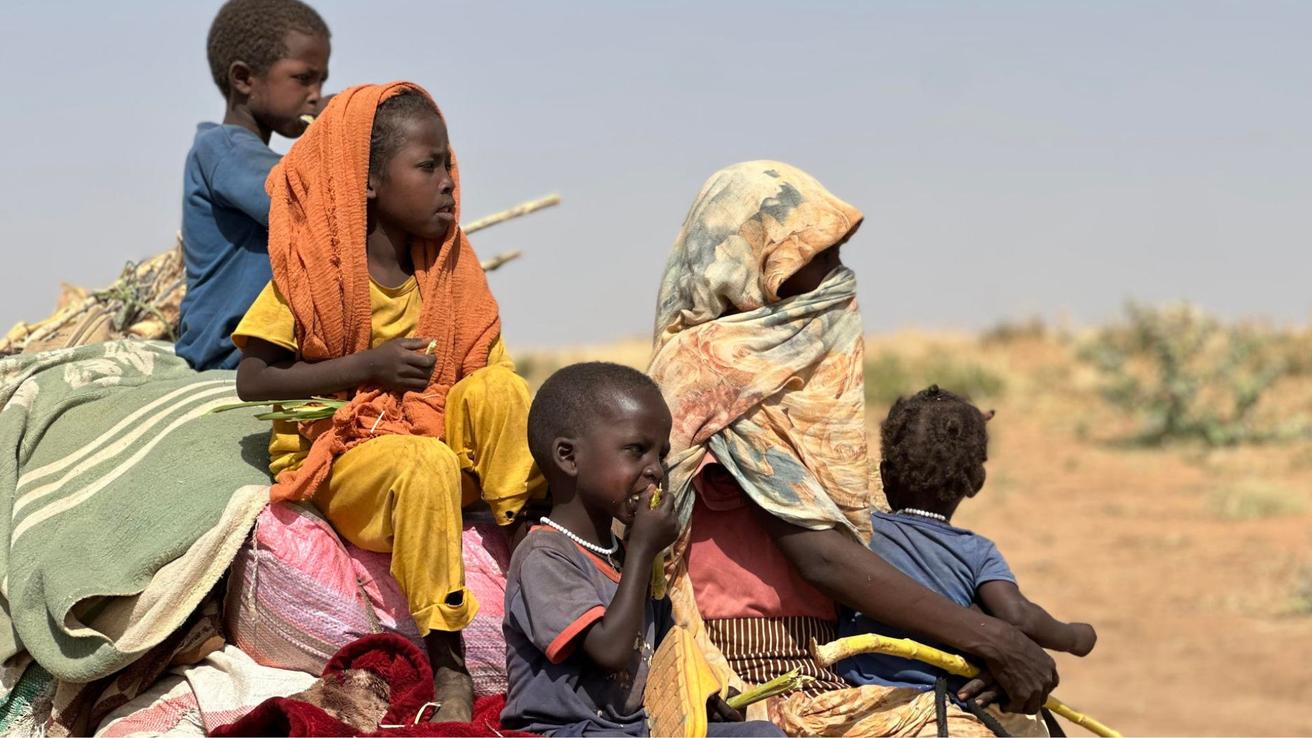 Alarmantes datos de la UNICEF: uno de cada cinco niños en el mundo vive en zonas de conflicto