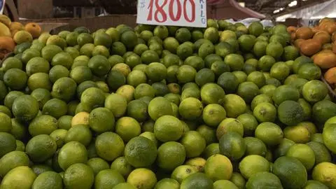 Los motivos por los que el limón está tan caro y cuando baja de precio