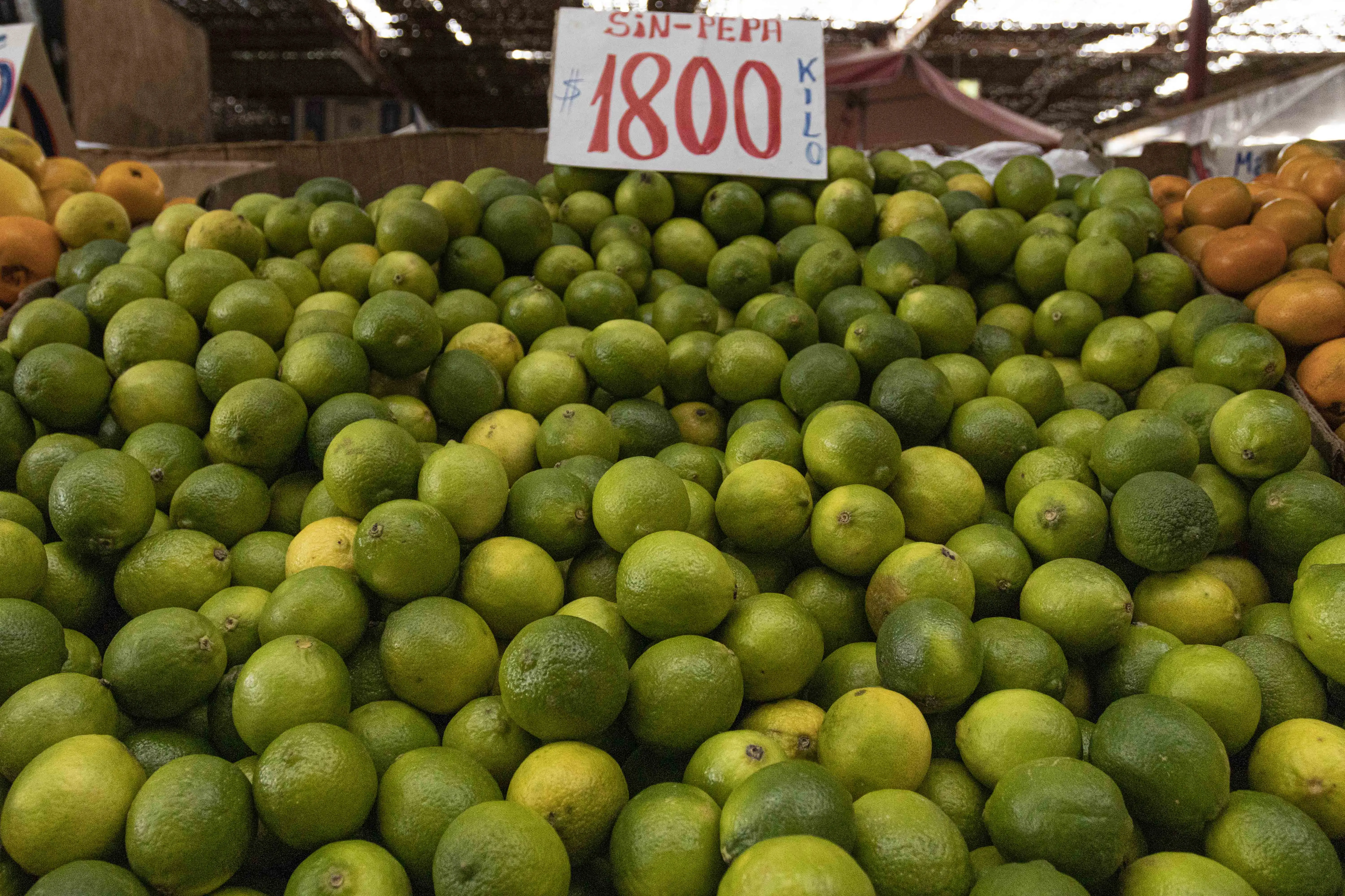 Los motivos por los que el limón está tan caro y cuando baja de precio