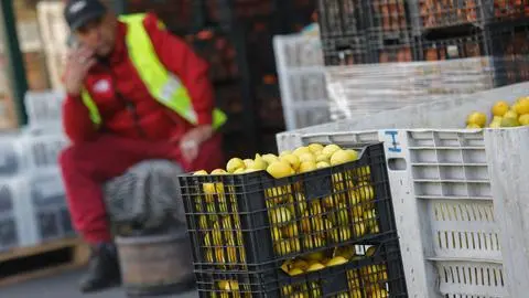 Inflación estalla por alza de combustible y transporte: IPC marca su mayor salto desde enero 2025