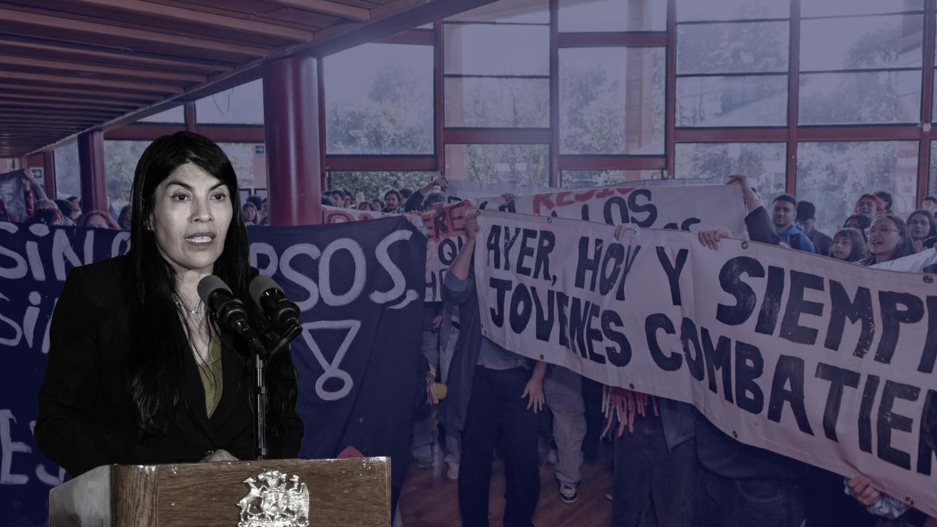 Juez tilda como “ciencia ficción” los argumentos del Gobierno en caso de agresión a Lincolao al resolver libertad de imputados