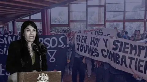 Juez tilda como “ciencia ficción” los argumentos del Gobierno en caso de agresión a Lincolao al resolver libertad de imputados