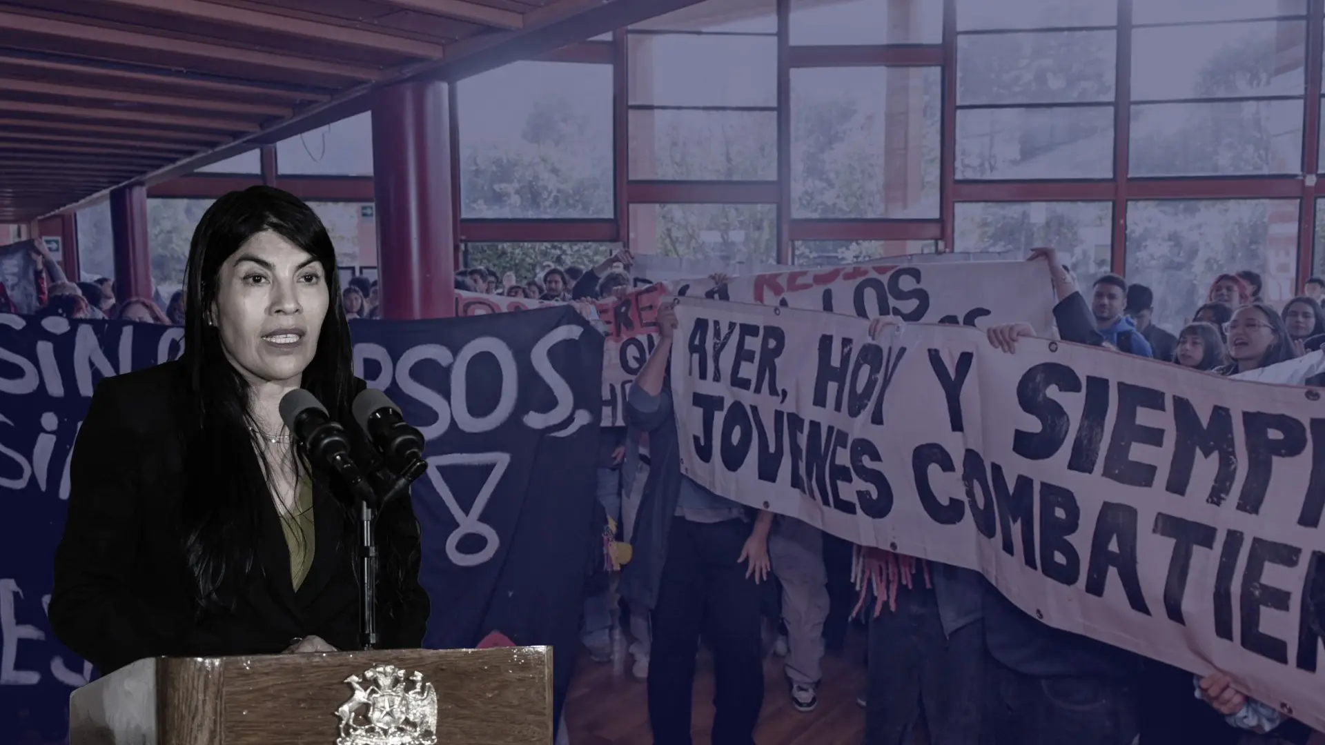 Juez tilda como “ciencia ficción” los argumentos del Gobierno en caso de agresión a Lincolao al resolver libertad de imputados