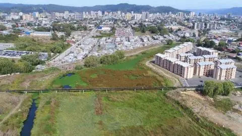 ¿Cómo es el nuevo proyecto habitacional aprobado en el humedal Paicaví?