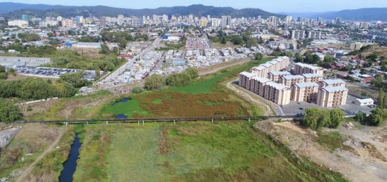 ¿Cómo es el nuevo proyecto habitacional aprobado en el humedal Paicaví?