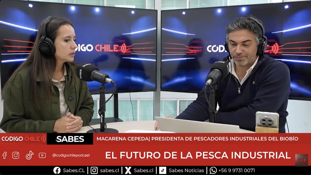 “Falso jurel” en Chile: Latas importadas cuestan la mitad que la producción nacional y generan preocupación en la industria