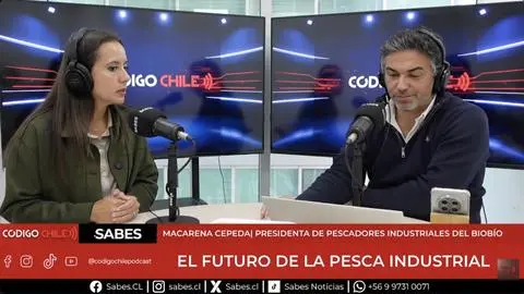 “Falso jurel” en Chile: Latas importadas cuestan la mitad que la producción nacional y generan preocupación en la industria