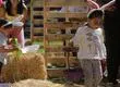 Semana Santa en Concepción: Panoramas gratuitos para disfrutar en familia