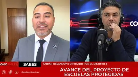 Diputado del PDG de Antofagasta cuestiona proyecto Escuelas Protegidas