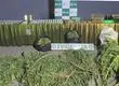 Operativo antidrogas en el Gran Concepción deja cinco detenidos y más de 20 mil dosis incautadas