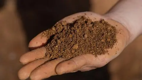 Proyecto de Aclara por tierras raras: Se realizan modificaciones ambientales y se estima funcionamiento regular para 2028