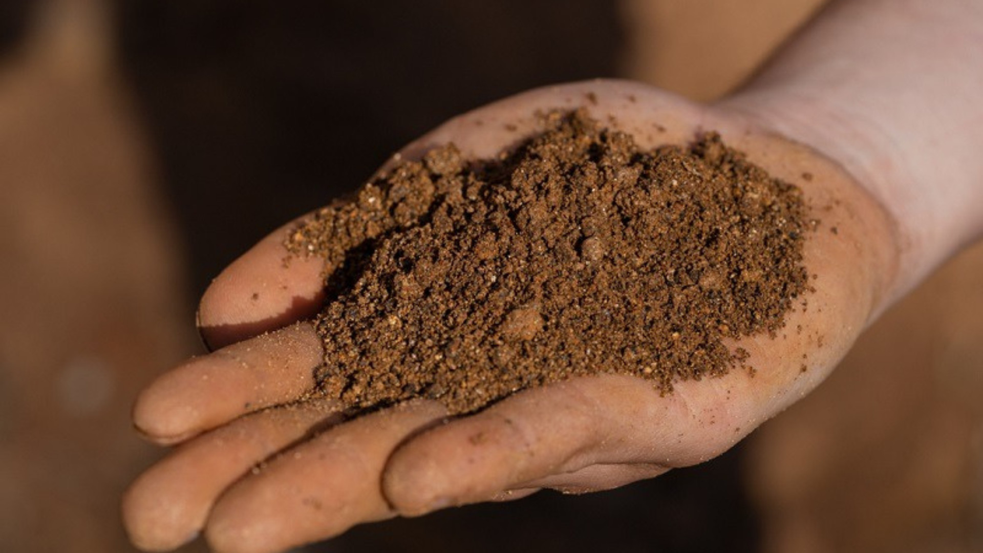 Proyecto de Aclara por tierras raras: Se realizan modificaciones ambientales y se estima funcionamiento regular para 2028