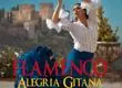 Llega a Chile “Flamenco Alegría”: Una experiencia que se siente en el alma