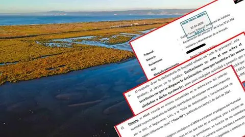 Gore Biobío, Asmar, Essbio y algunas inmobiliarias presentaron reclamaciones por protección de humedal Rocuant Andalién