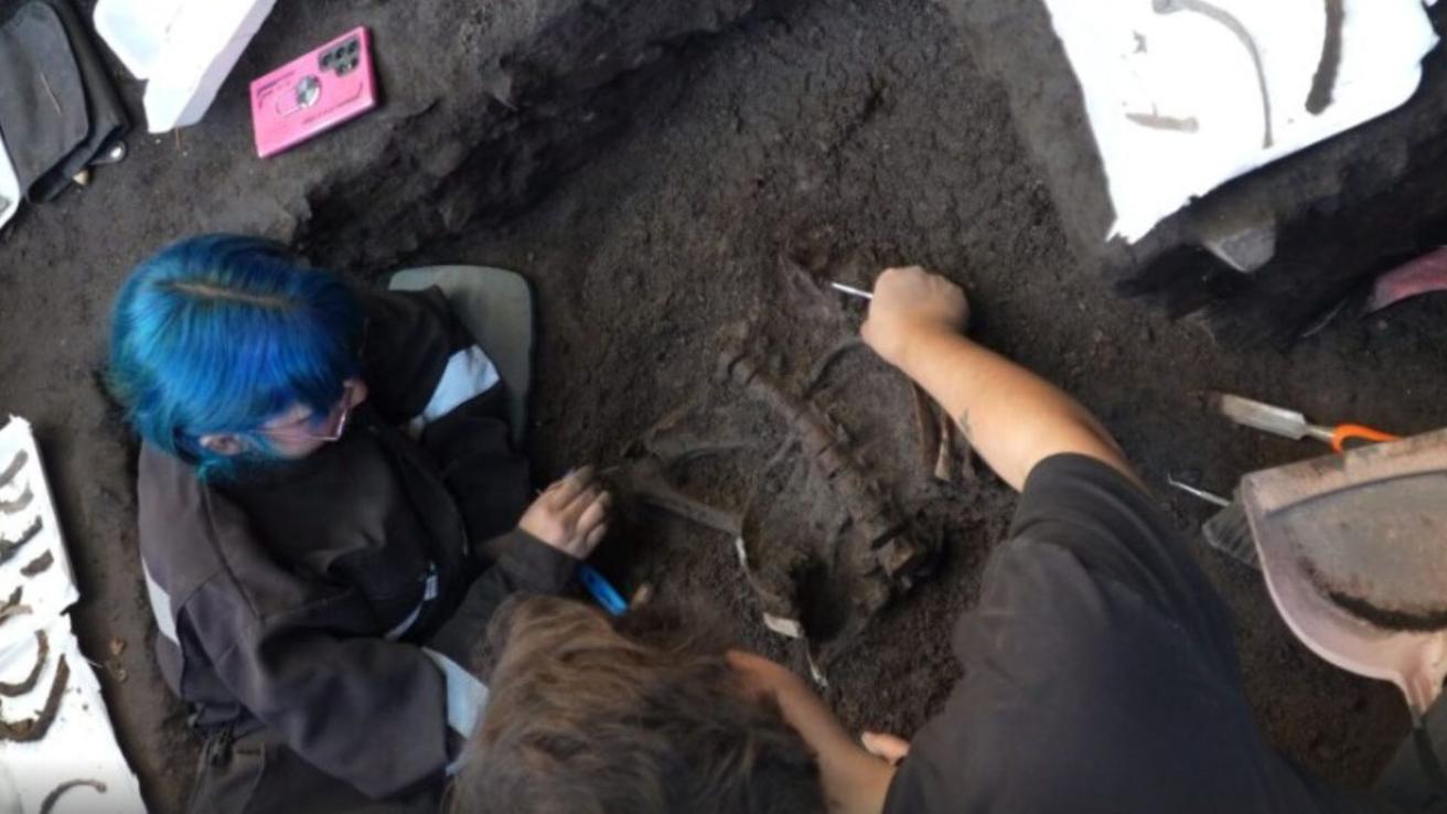 Increíble hallazgo arqueológico: En Tagua Tagua encuentran 3 cuerpos de 5 mil años de antigüedad en la rivera del antiguo lago