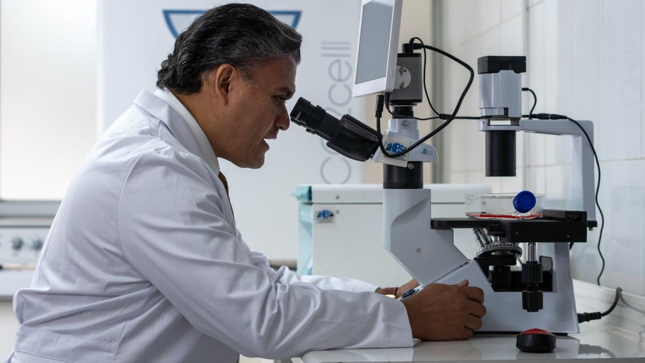 PLPC-DB™ de Programa Oncovix: La plataforma avanzada de inmunoterapia estructural que busca reparar la respuesta contra el cáncer, de distinto tipo y en cada etapa.
