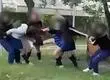 Estudiante es víctima de salvaje y concertada agresión de compañeras en liceo del Gran Concepción
