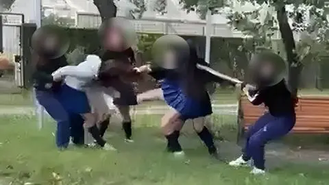 Estudiante es víctima de salvaje y concertada agresión de compañeras en liceo del Gran Concepción