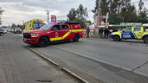 Automóvil colisionó con un camión: Niña de 8 años y su padre fallecen tras grave accidente en ruta de Linares