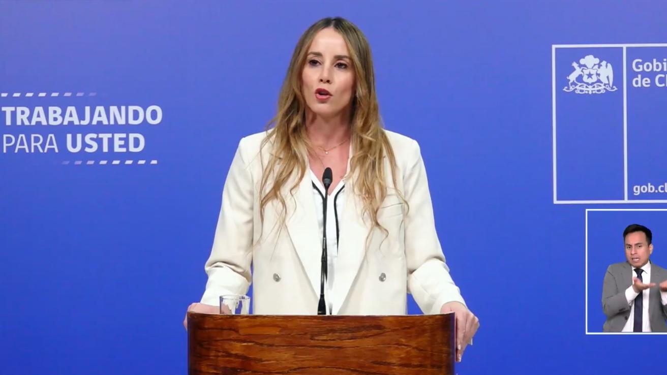 “Estamos trabajando contra la seguridad”: La particular declaración de la ministra Sedini en medio de vocería