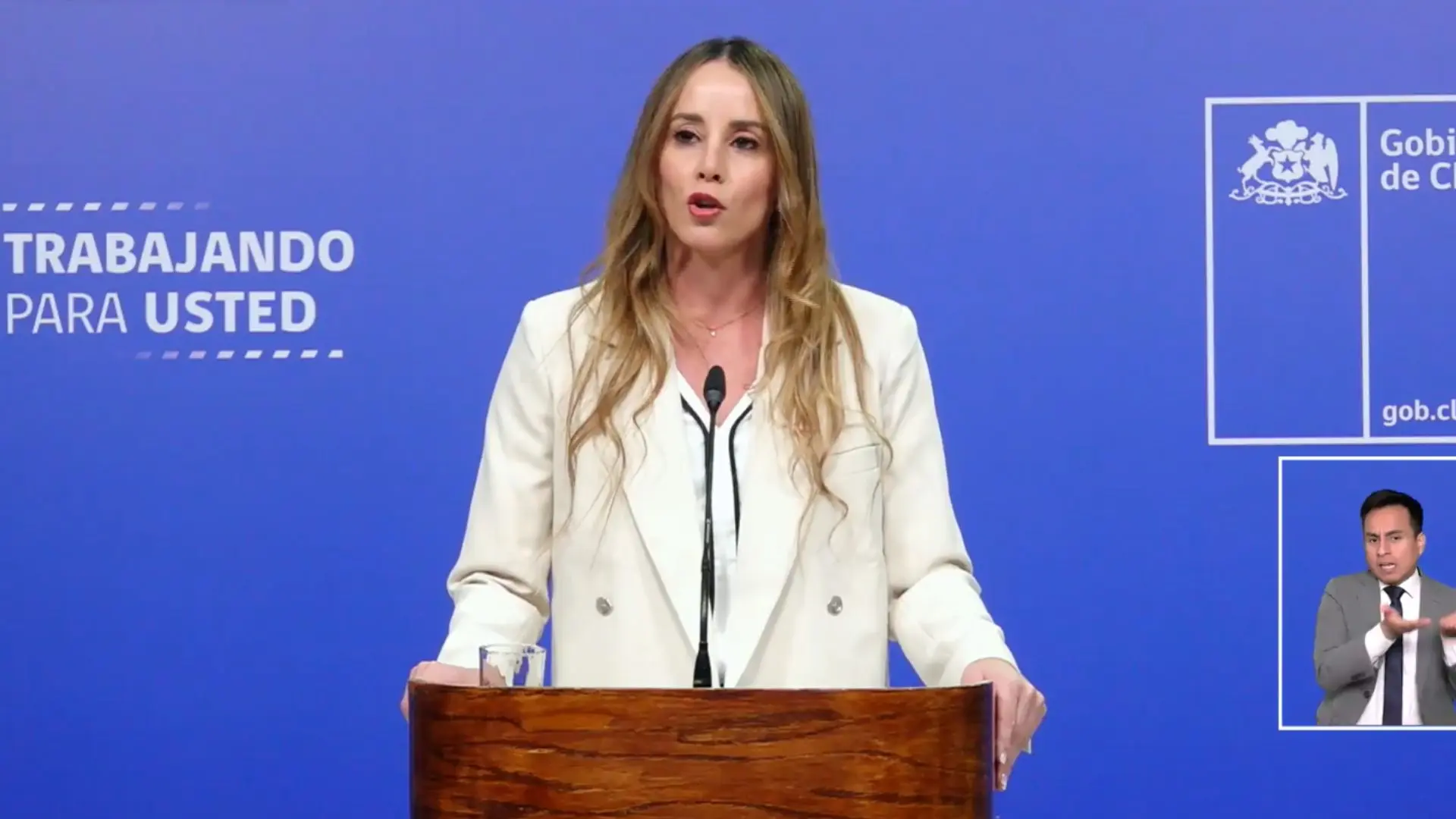 “Estamos trabajando contra la seguridad”: La particular declaración de la ministra Sedini en medio de vocería