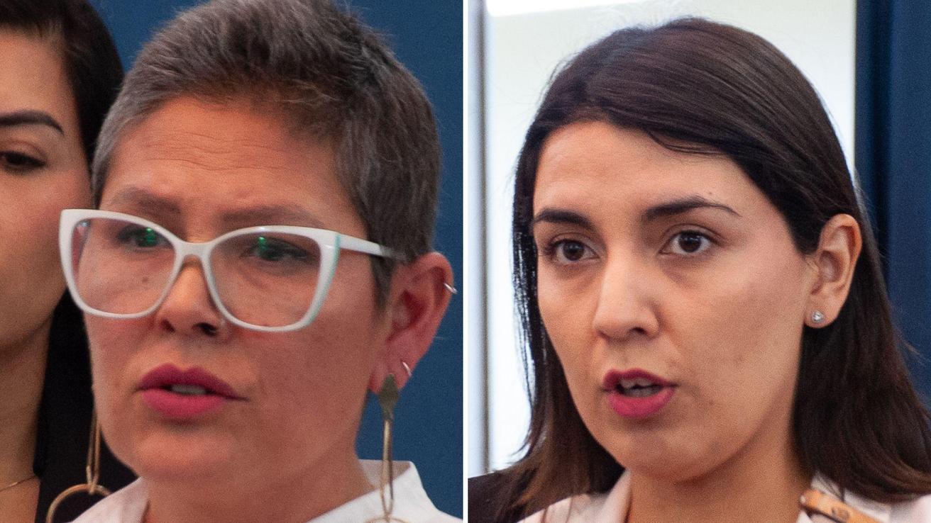 Revelan correo enviado por Priscilla Carrasco que habría gatillado su polémico despido del Sernameg
