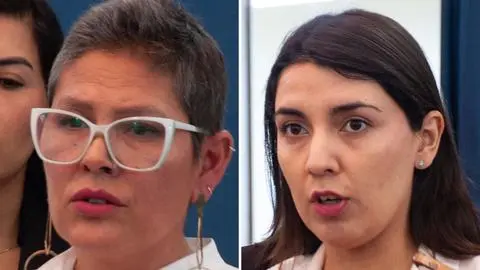 Revelan correo enviado por Priscilla Carrasco que habría gatillado su polémico despido del Sernameg