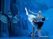 “Este ballet es sobre el amor”: Liudmila Titova destaca el regreso de ‘El Lago de los Cisnes’ al Gran Concepción