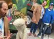 31 Minutos critica la “campaña tan fea y mal hecha” de Municipalidad de Huechuraba en que usaron sus icónicos personajes sin autorización