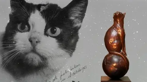 La tragedia de la gata Félicette: Regresó de un viaje al espacio, pero la sacrificaron
