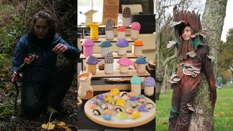 Festival Fungi en Concepción hará de mayo el mes de los honguitos: Ruta culinaria, excursiones y micoferia