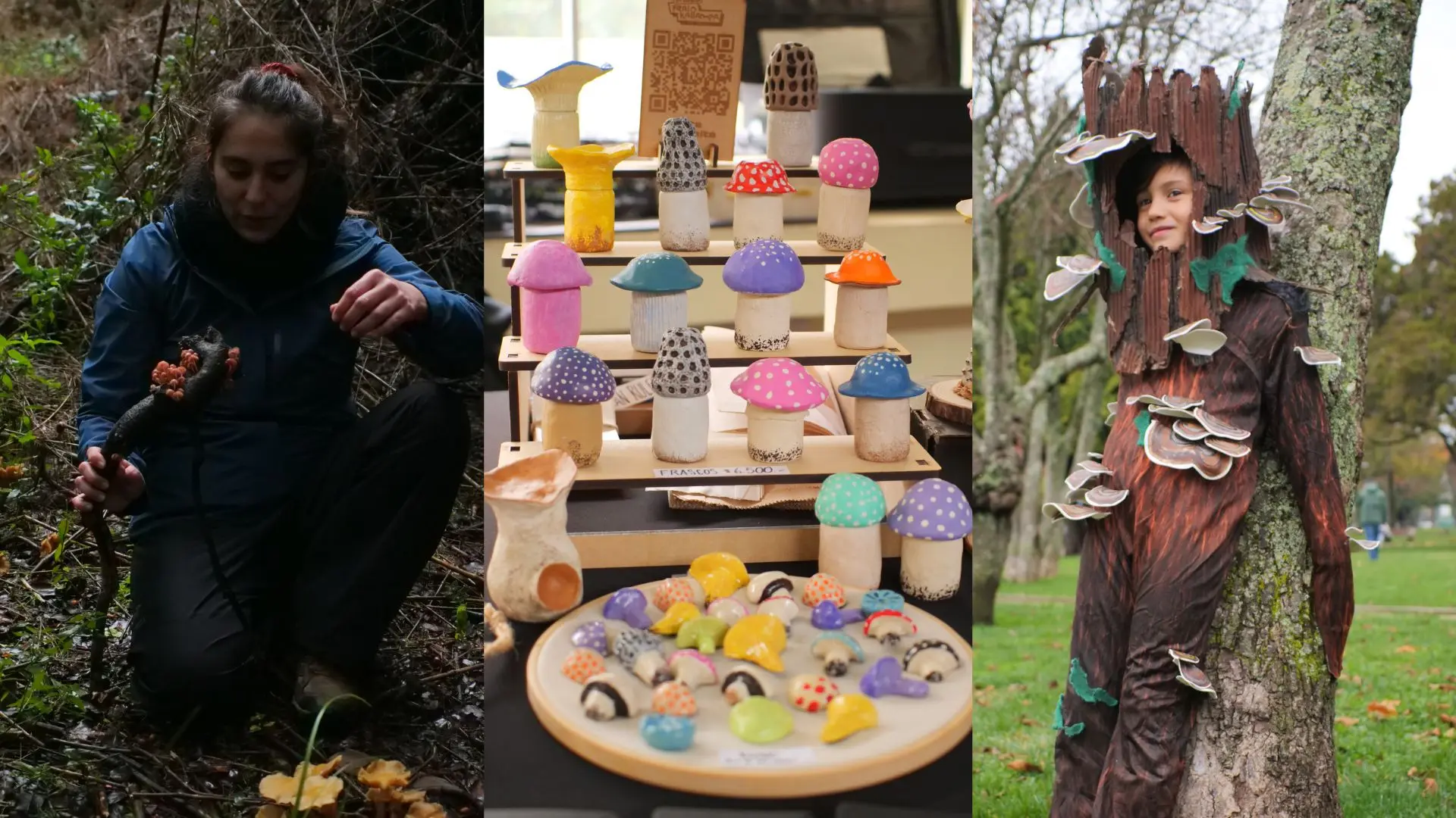 Festival Fungi en Concepción hará de mayo el mes de los honguitos: Ruta culinaria, excursiones y micoferia
